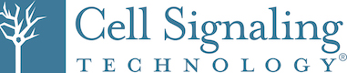 Cell Signaling